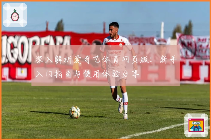 深入解析爱奇艺体育网页版：新手入门指南与使用体验分享