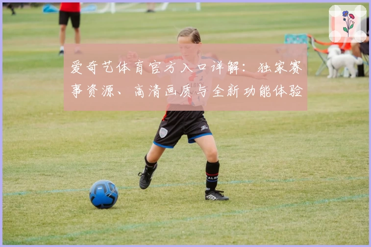 爱奇艺体育官方入口详解:独家赛事资源、高清画质与全新功能体验