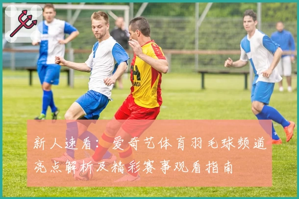 新人速看：爱奇艺体育羽毛球频道亮点解析及精彩赛事观看指南